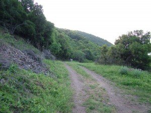 DSCF1229 (1)